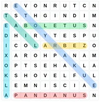Woordzoeker puzzelraster gevuld met willekeurige letters. Kleurrijke markeringen tonen gevonden woorden die horizontaal, verticaal of diagonaal verborgen zijn.